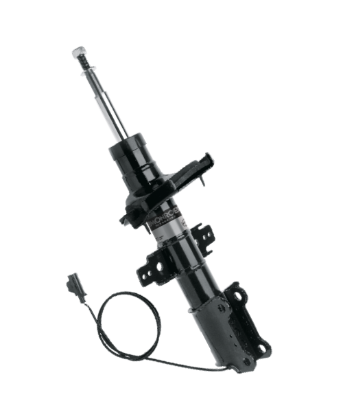 Ammortizzatore Monroe D0019 – Set Da 2, A Doppio Tubo, Pressione Gas, Tipo McPherson