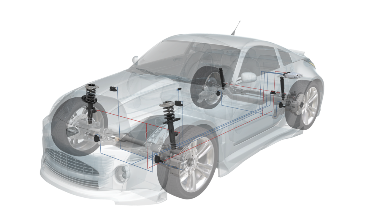 CVSAe-sport-scheme CVSAe-sport-scheme