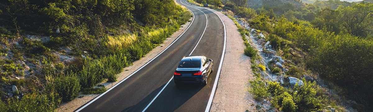 Car traveling on tree lined road