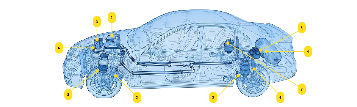 Passenger Car Graphic